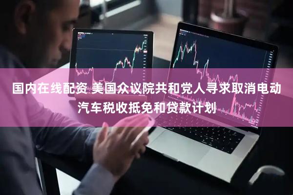 国内在线配资 美国众议院共和党人寻求取消电动汽车税收抵免和贷款计划
