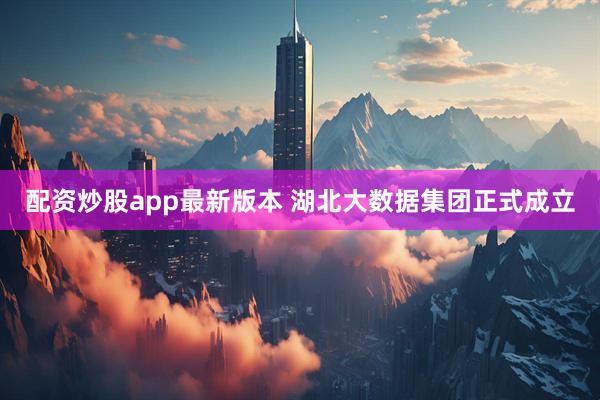 配资炒股app最新版本 湖北大数据集团正式成立