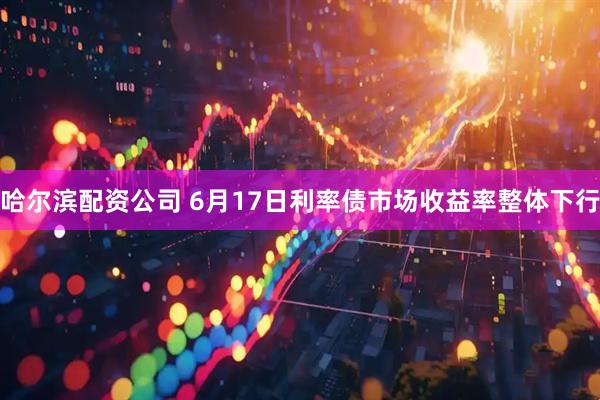 哈尔滨配资公司 6月17日利率债市场收益率整体下行